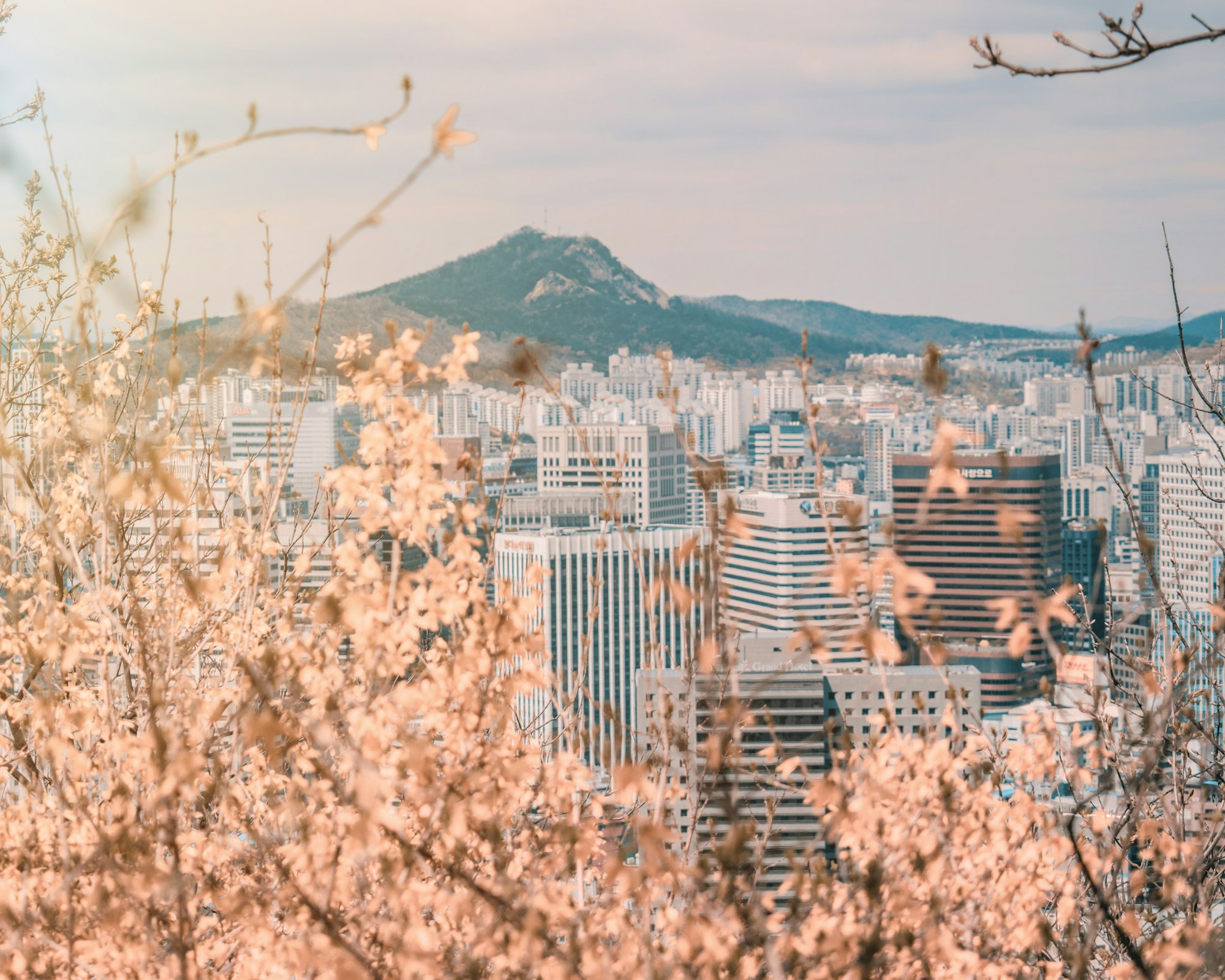 촬영 가이드: 도시 전경